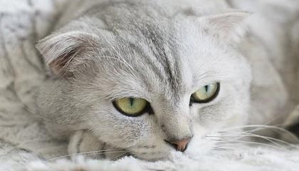 精彩瞬间抢眼，选手身手敏捷