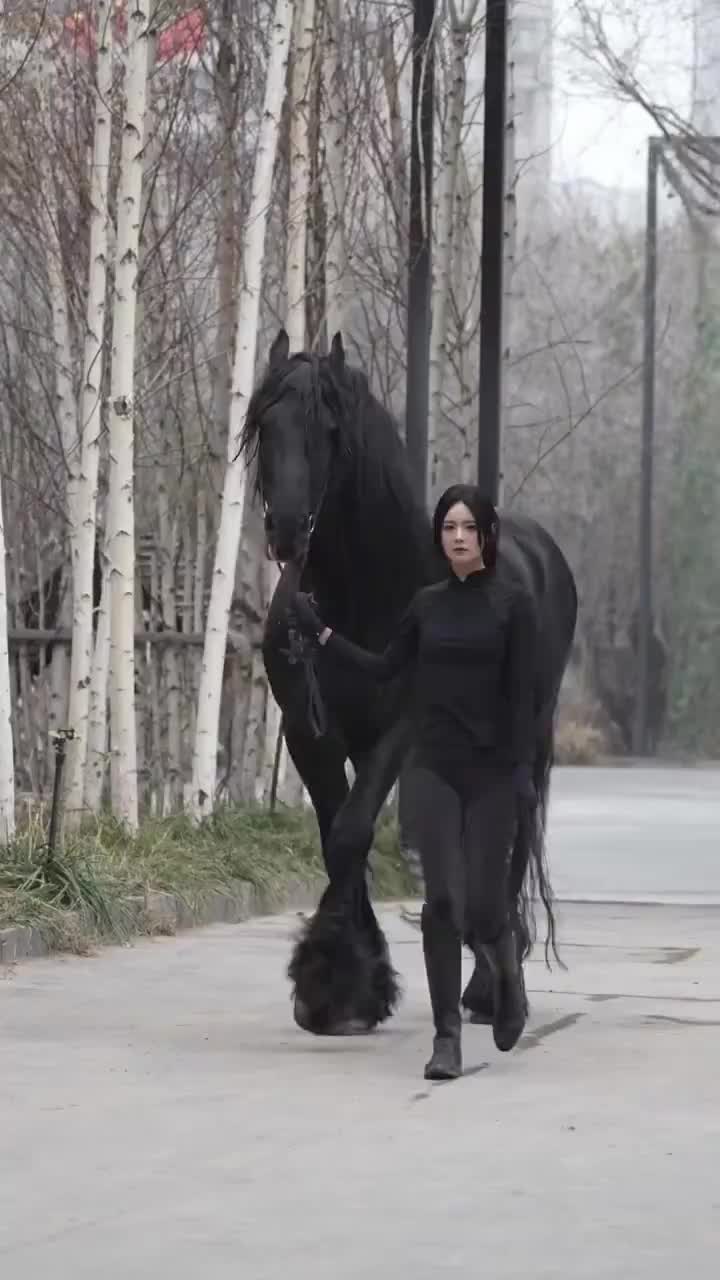 比赛中的黑马表现让人眼前一亮 比赛中的黑马表现让人眼前一亮